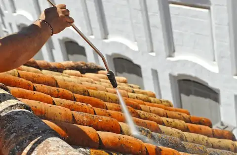 Nettoyage de toitures - Alizay